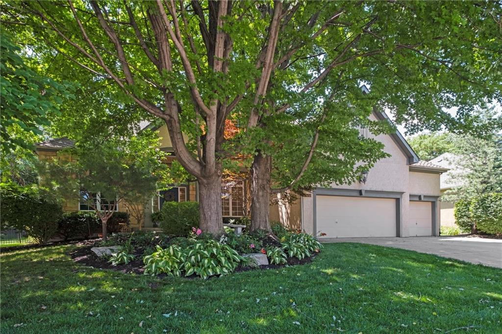 Listing Photo MLS #HMS2555533