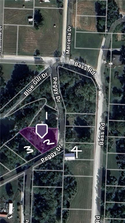 Listing Photo MLS #HMS2555614