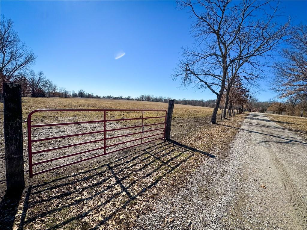 Listing Photo MLS #HMS2555976