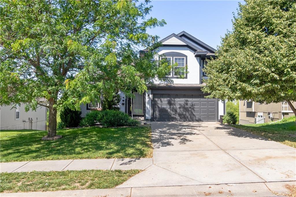 Listing Photo MLS #HMS2556116