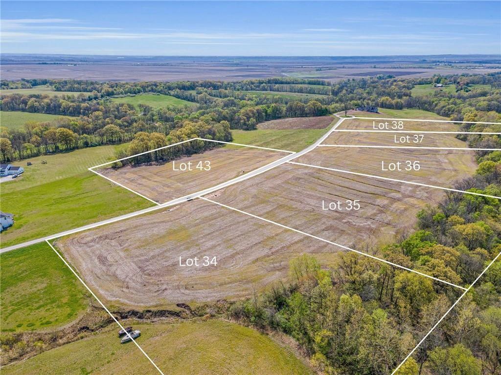 Listing Photo MLS #HMS2556178