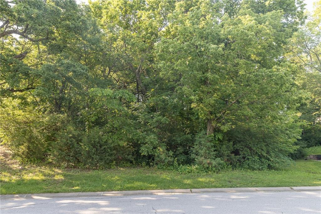 Listing Photo MLS #HMS2556277