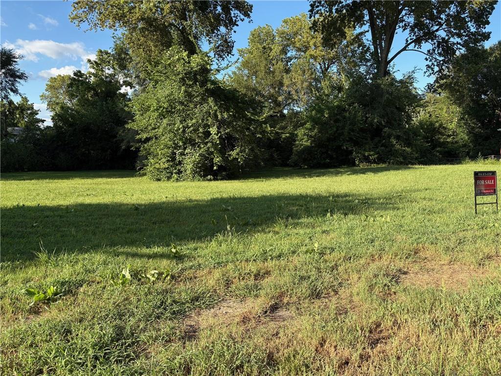 Listing Photo MLS #HMS2556316