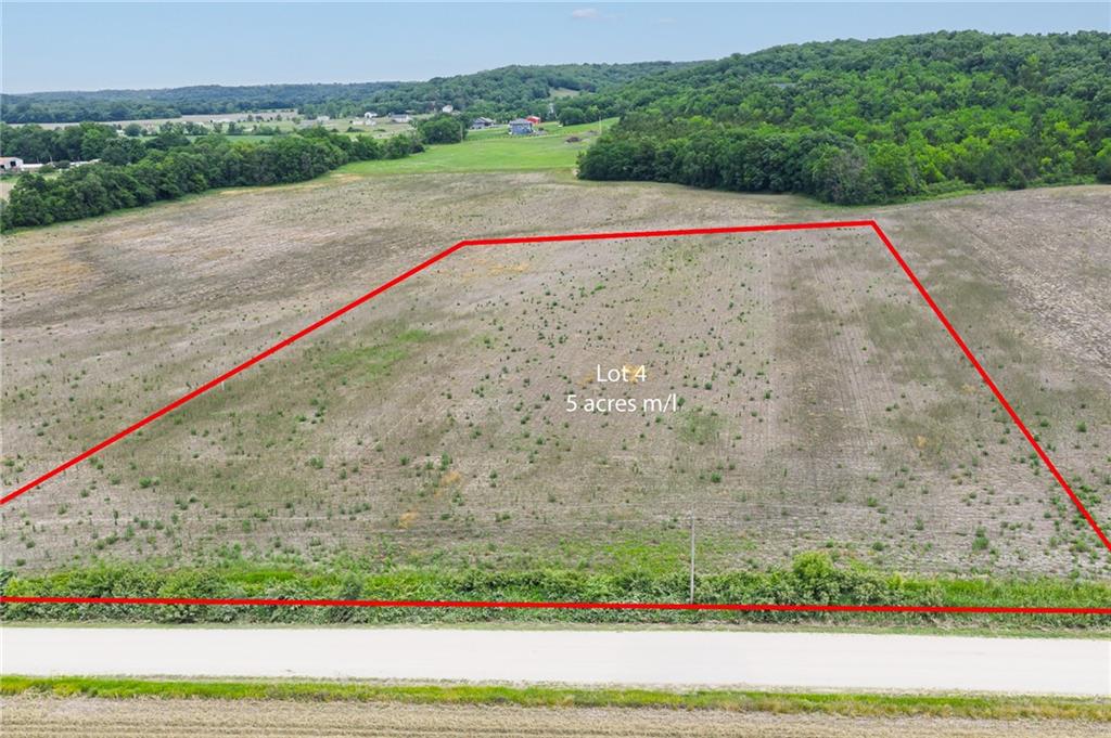 Listing Photo MLS #HMS2556381