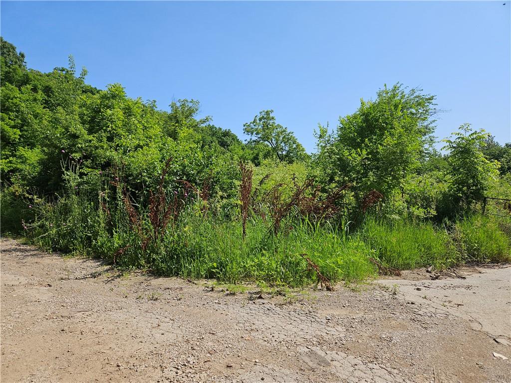 Listing Photo MLS #HMS2556909