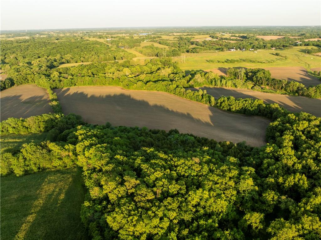 Listing Photo MLS #HMS2556945