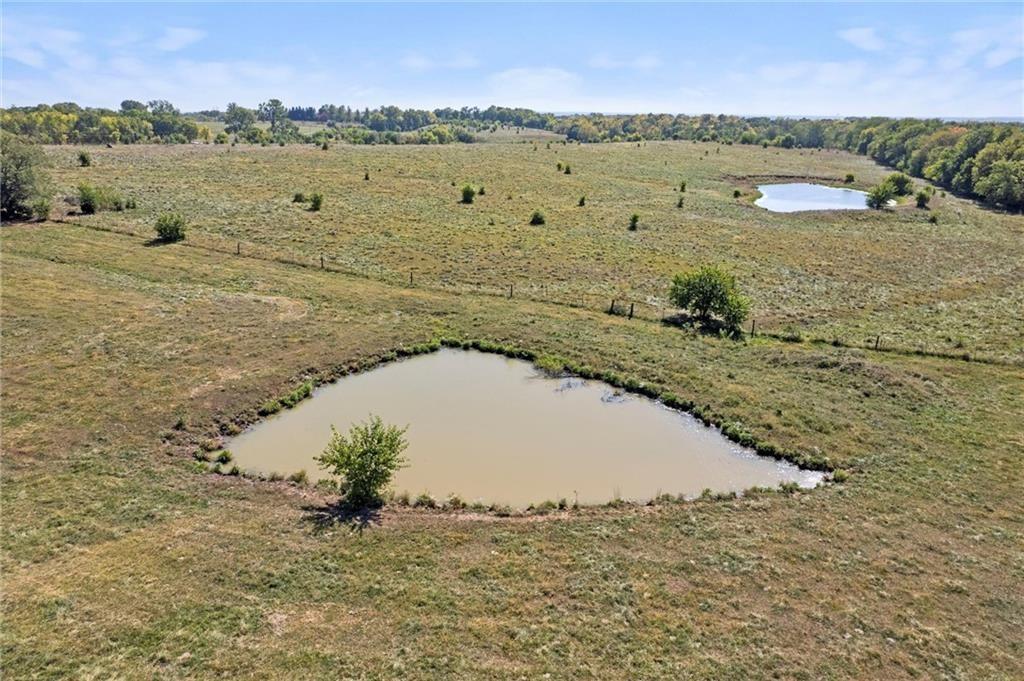 Listing Photo MLS #HMS2557031