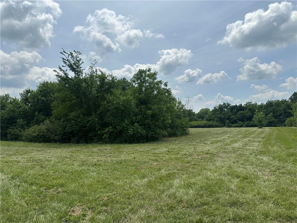 Listing Photo MLS #HMS2557373