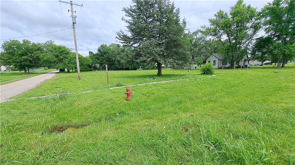 Listing Photo MLS #HMS2557405