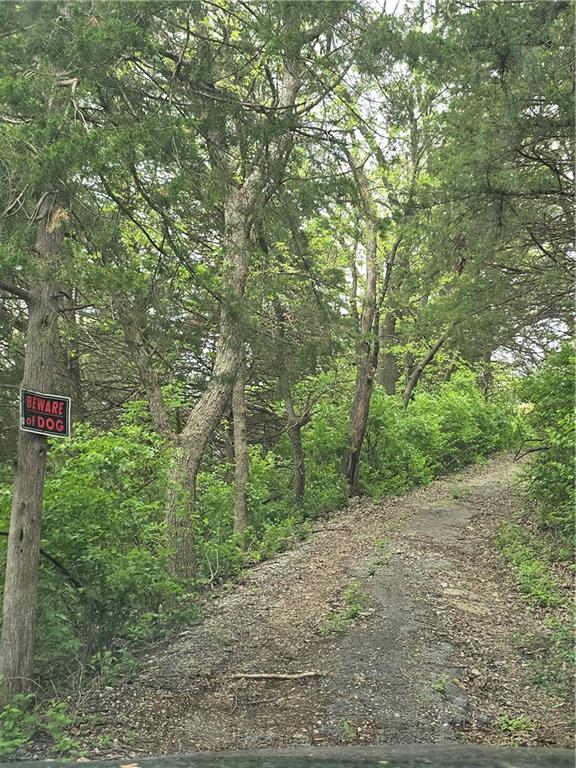 Listing Photo MLS #HMS2557477