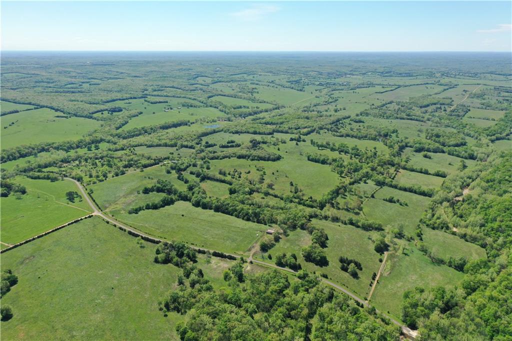 Listing Photo MLS #HMS2557564