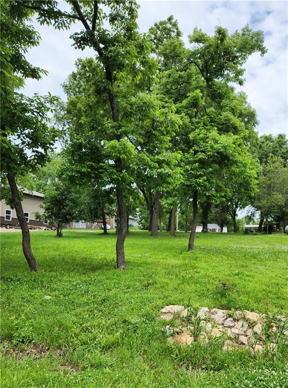 Listing Photo MLS #HMS2557583