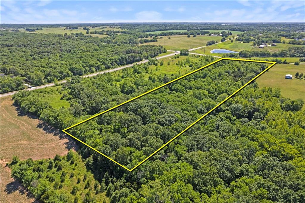 Listing Photo MLS #HMS2557585