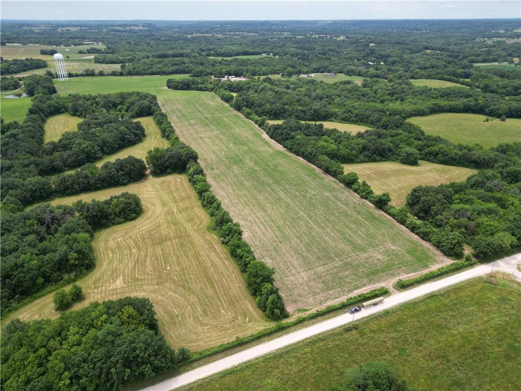 Listing Photo MLS #HMS2557594