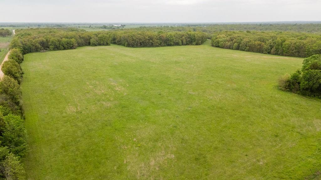 Listing Photo MLS #HMS2557649