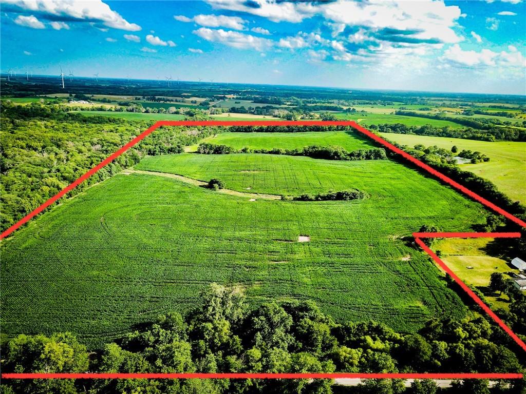 Listing Photo MLS #HMS2557707