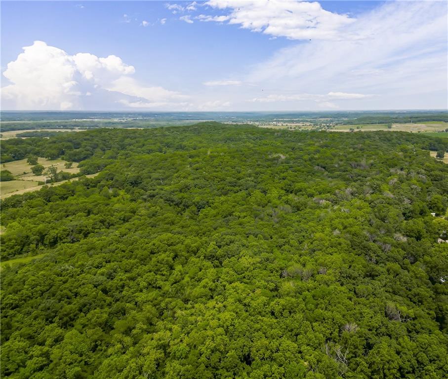 Listing Photo MLS #HMS2557744