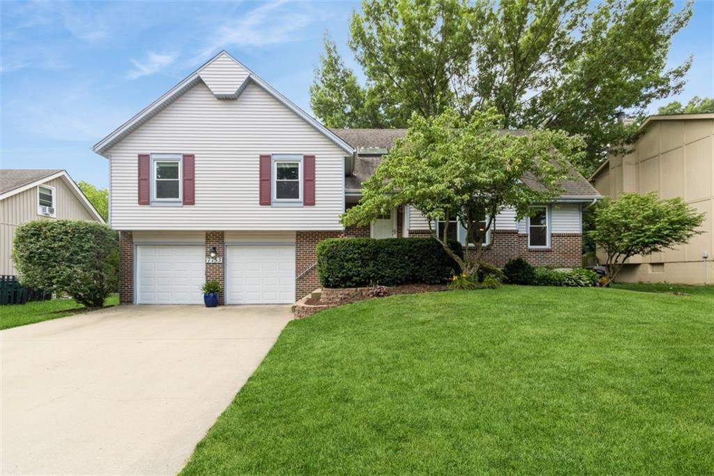 Listing Photo MLS #HMS2557764
