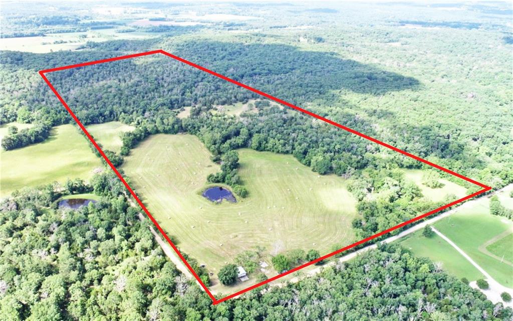 Listing Photo MLS #HMS2557792