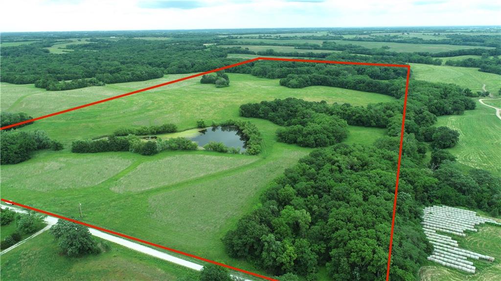 Listing Photo MLS #HMS2557835