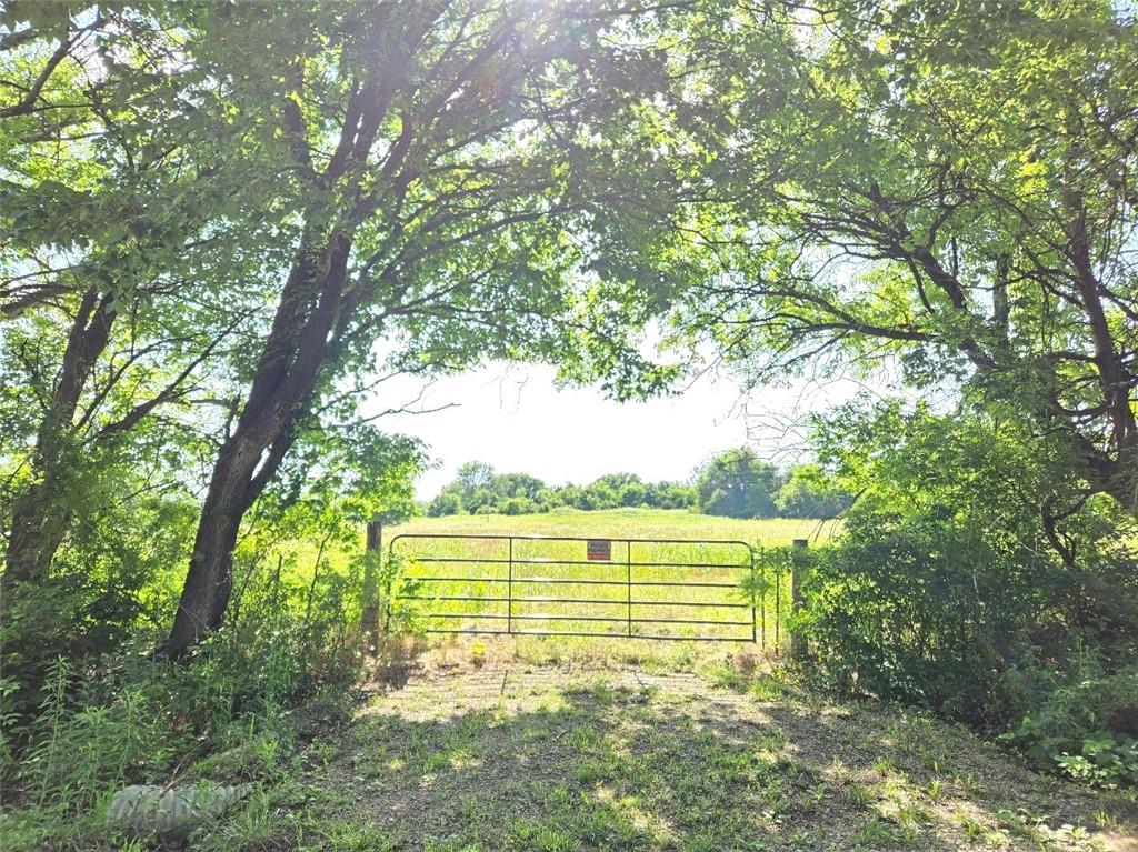 Listing Photo MLS #HMS2557923