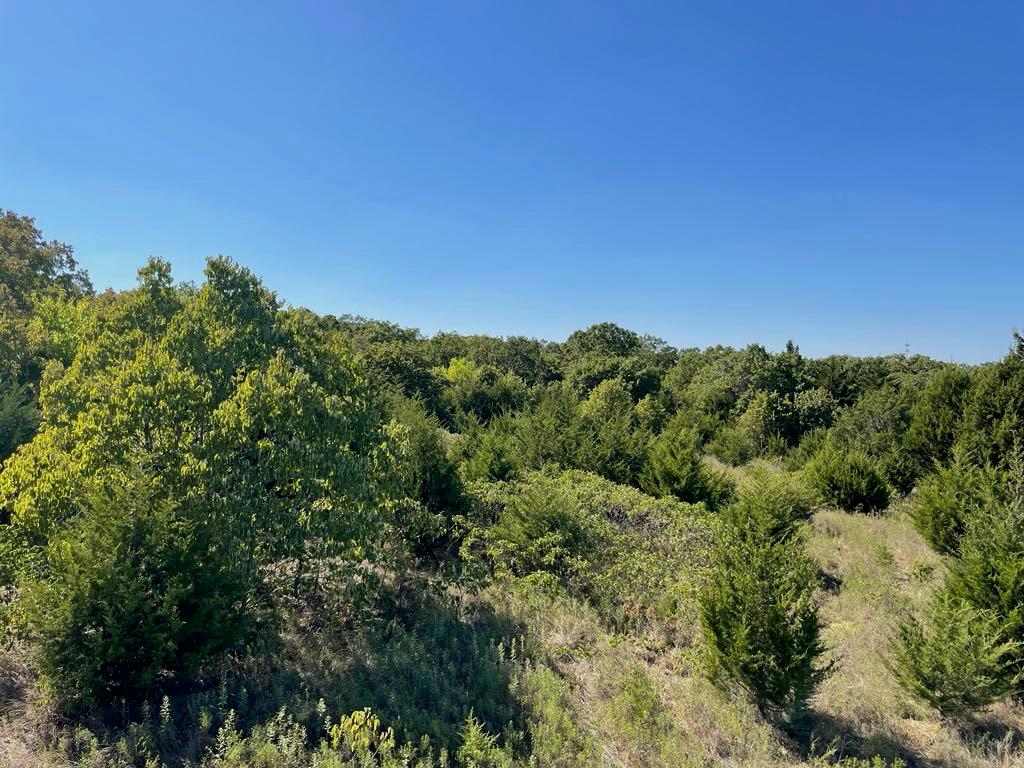 Listing Photo MLS #HMS2557932
