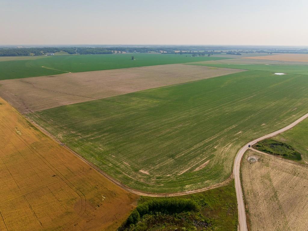 Listing Photo MLS #HMS2557981