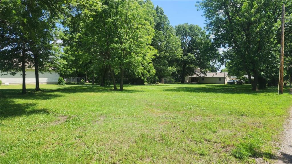 Listing Photo MLS #HMS2558053