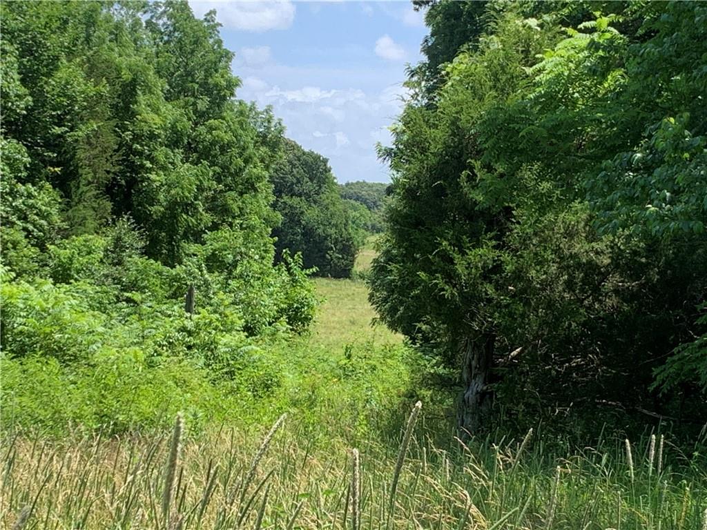Listing Photo MLS #HMS2558170