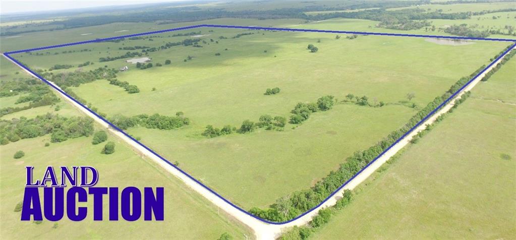 Listing Photo MLS #HMS2558454