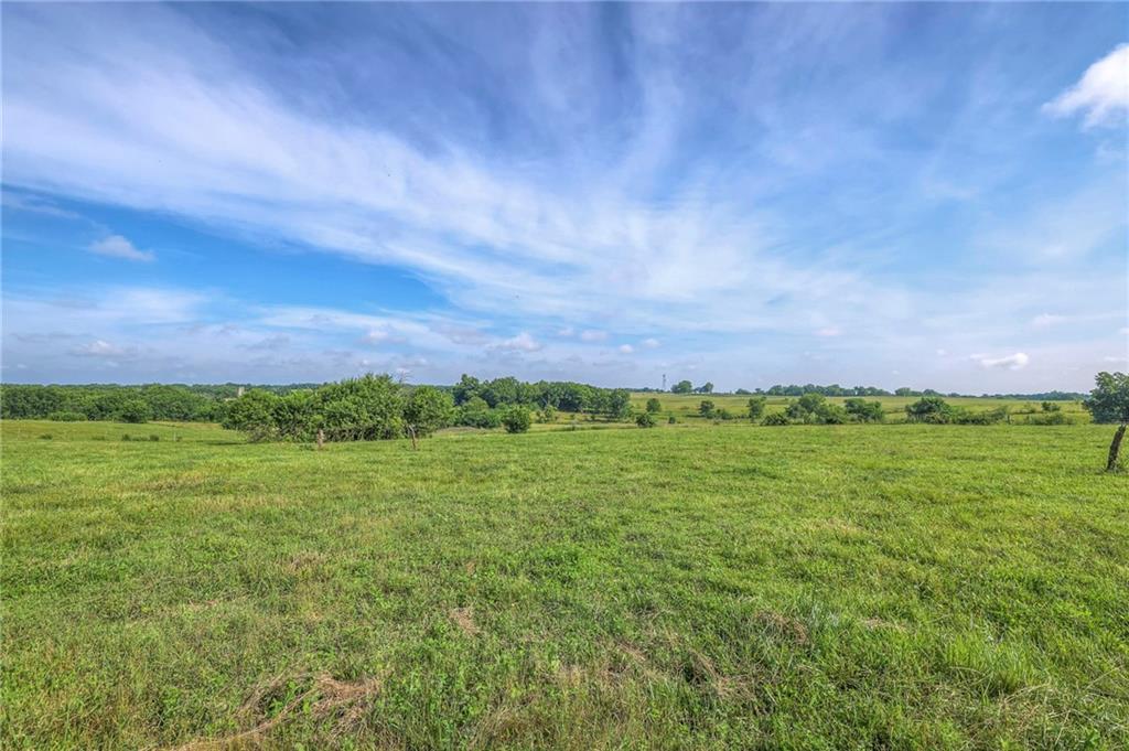 Listing Photo MLS #HMS2558646