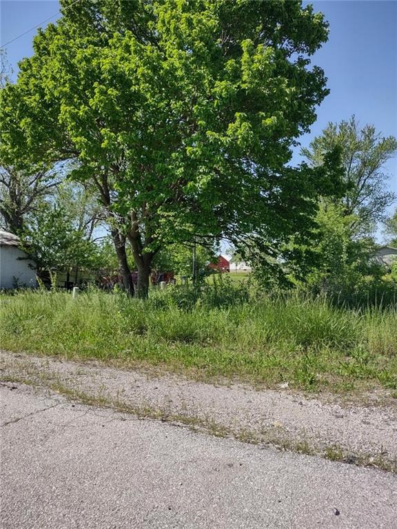 Listing Photo MLS #HMS2558719