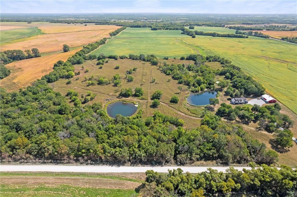 Listing Photo MLS #HMS2558723