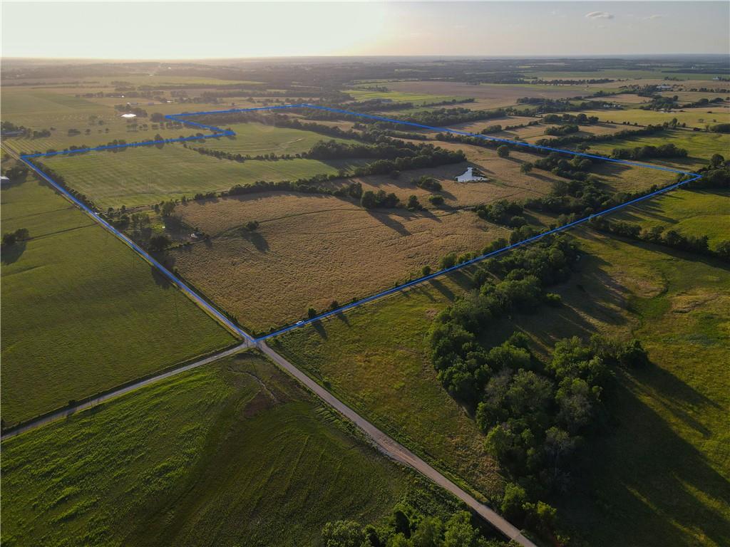 Listing Photo MLS #HMS2558759