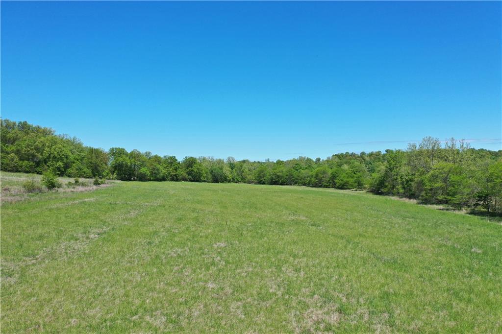 Listing Photo MLS #HMS2558855