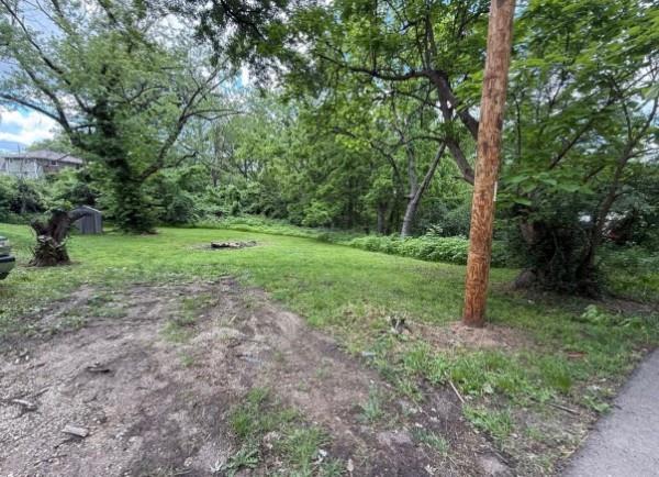 Listing Photo MLS #HMS2558895