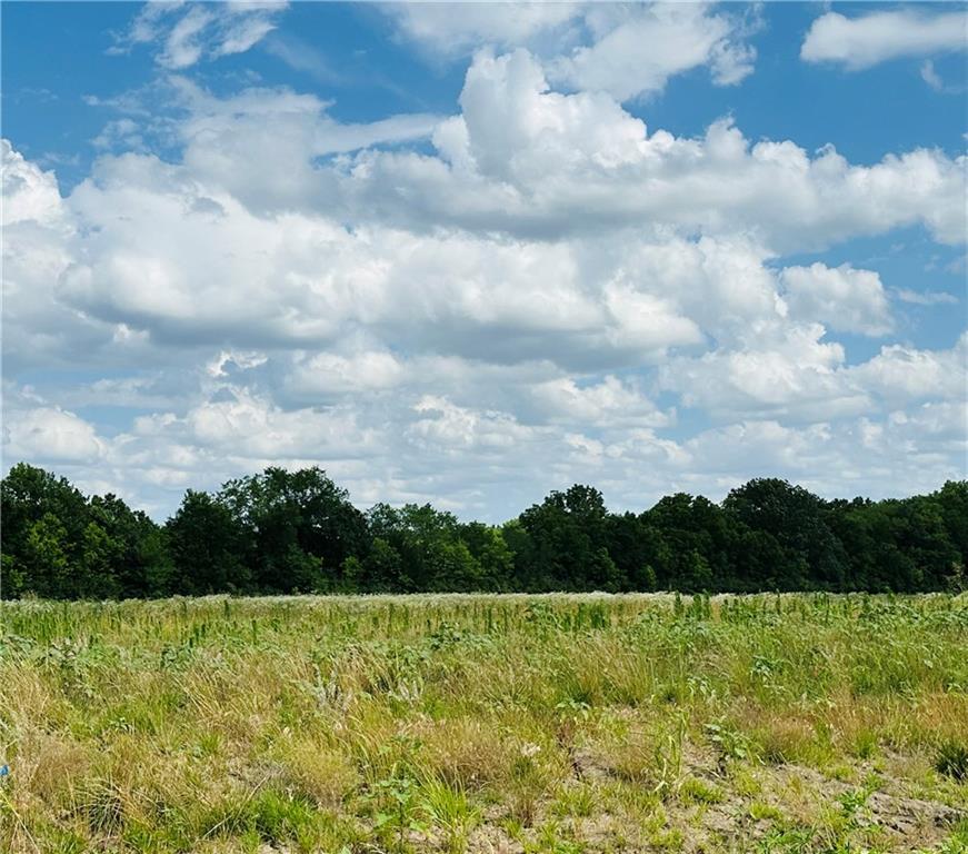 Listing Photo MLS #HMS2558945