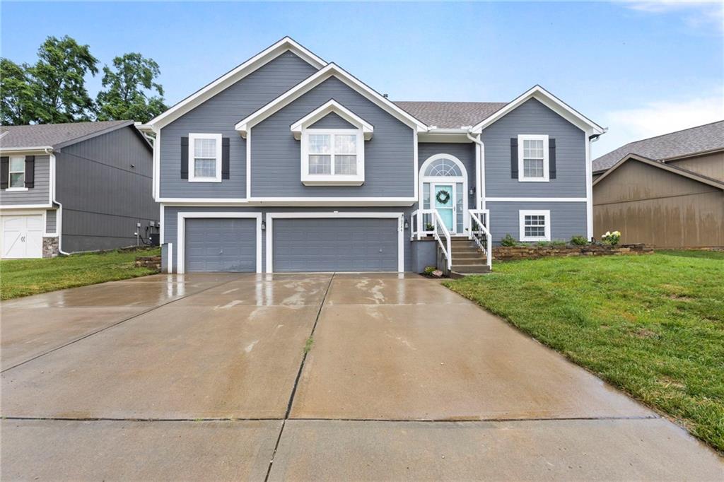 Listing Photo MLS #HMS2559056