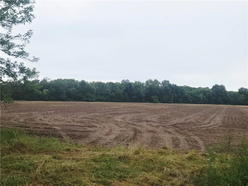 Listing Photo MLS #HMS2559223