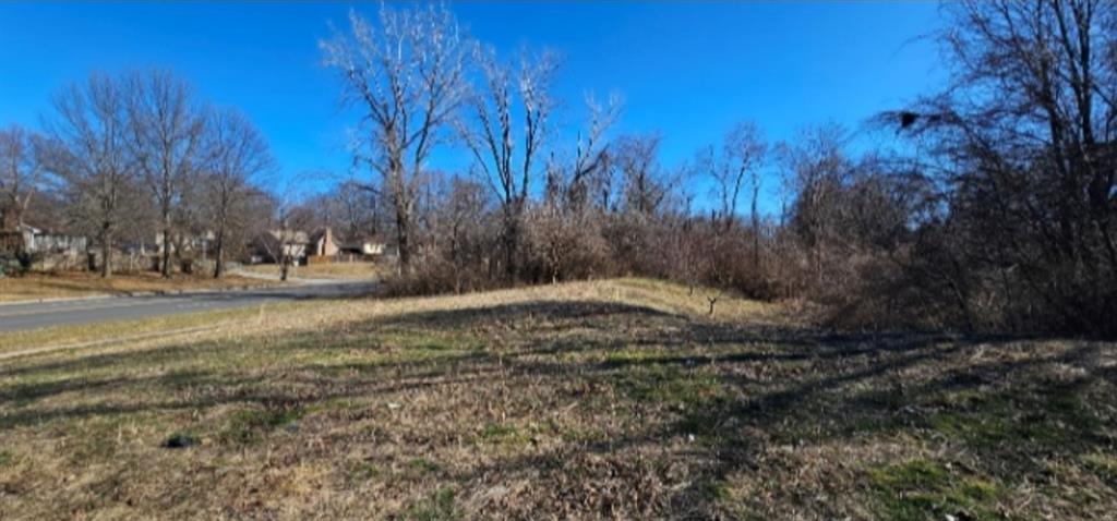 Listing Photo MLS #HMS2559290