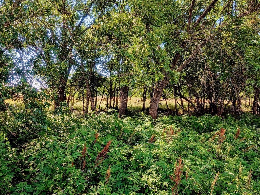 Listing Photo MLS #HMS2559315