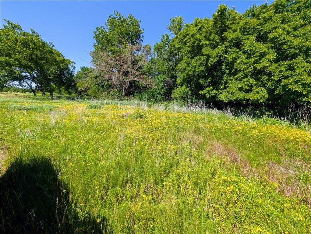 Listing Photo MLS #HMS2559325