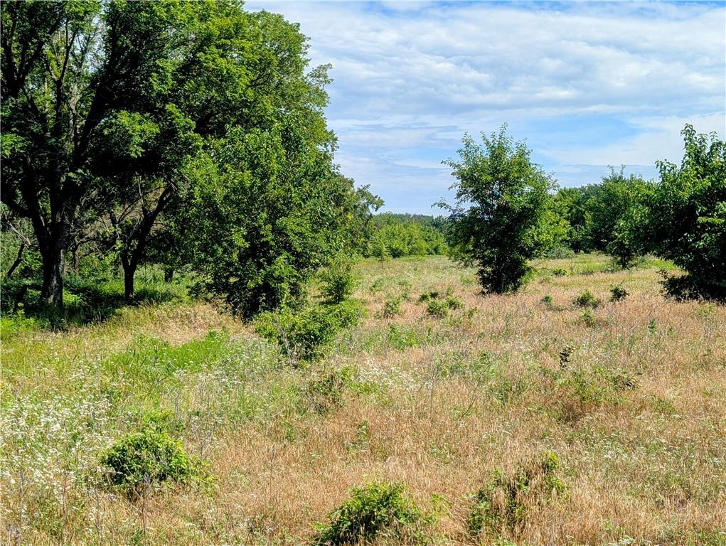 Listing Photo MLS #HMS2559340
