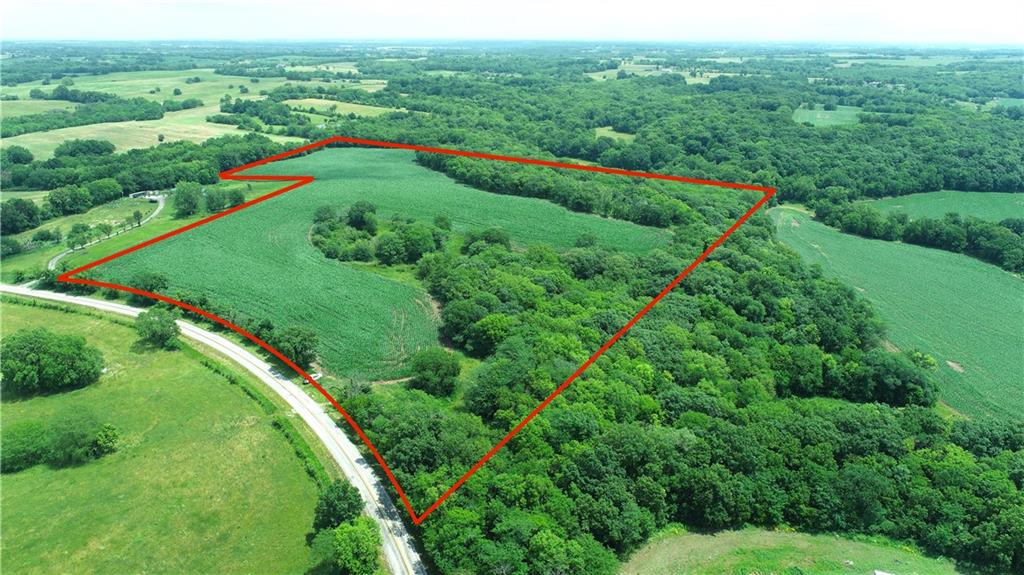 Listing Photo MLS #HMS2559481