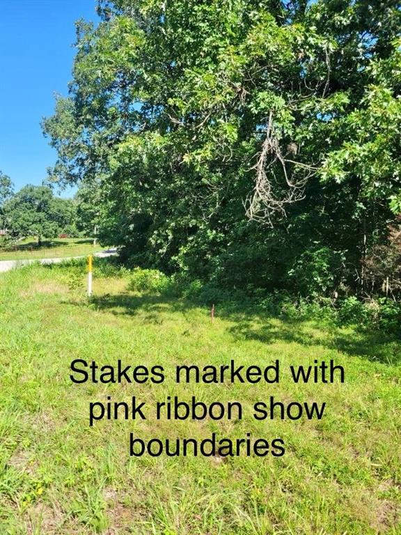 Listing Photo MLS #HMS2559602