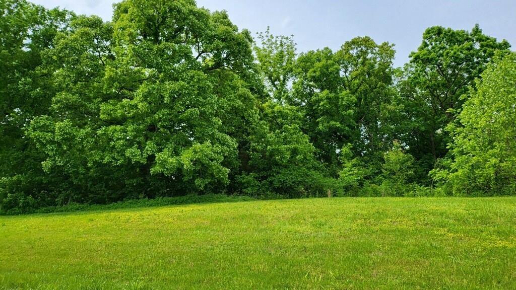 Listing Photo MLS #HMS2559677