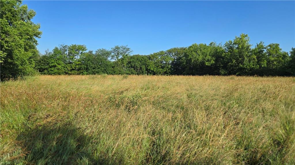 Listing Photo MLS #HMS2559681
