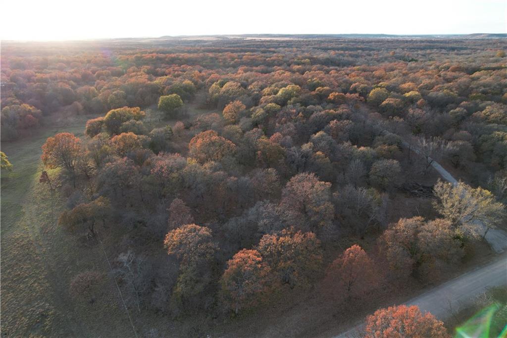 Listing Photo MLS #HMS2559781