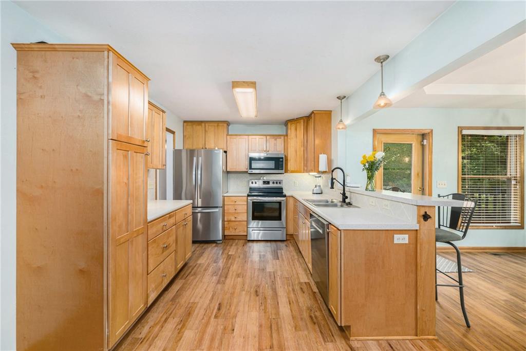Listing Photo MLS #HMS2561765