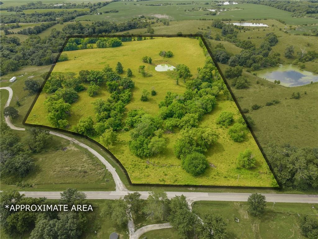 Listing Photo MLS #HMS2562465